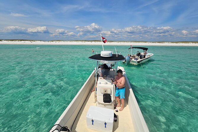 4 Hour Eco Dolphin Tour in Panama - Key points at a glance
