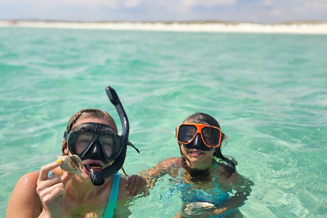 4 Hour Eco Dolphin Tour in Panama - Dolphins and marine life without a fixed script