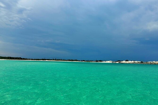 4 Hour Eco Dolphin Tour in Panama - Weather, cancellation, and timing