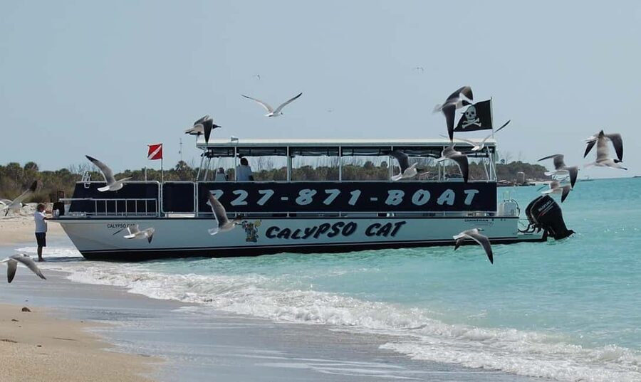 4 Hour Egmont Key Island Tour With Dolphins & Snorkeling - Reaching Egmont Key and Shell Key