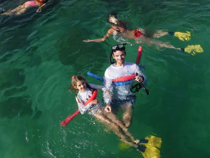 4 Hour Egmont Key Island Tour With Dolphins & Snorkeling - Mangroves, estuaries, and coastal wildlife
