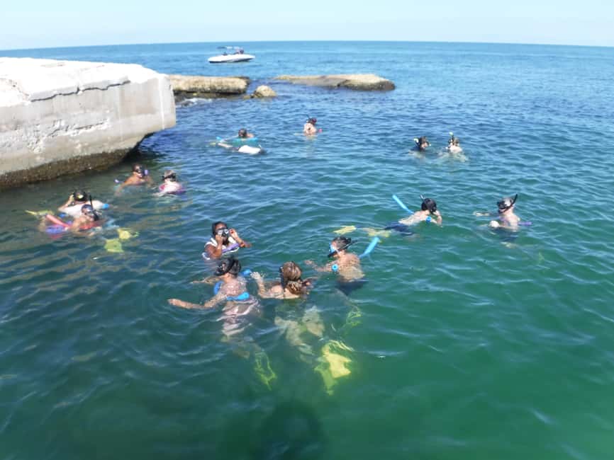 4 Hour Egmont Key Island Tour With Dolphins & Snorkeling - The drawbacks you should weigh honestly