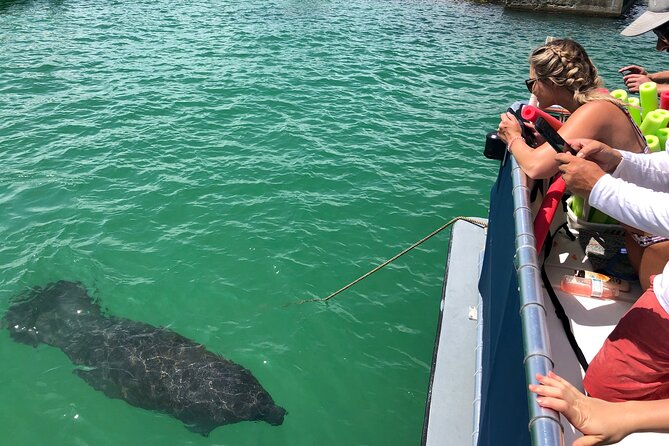 4 Hour Egmont Key Island Tour With Dolphins & Snorkeling Included - Is the Four-Hour Tour Worth $79?