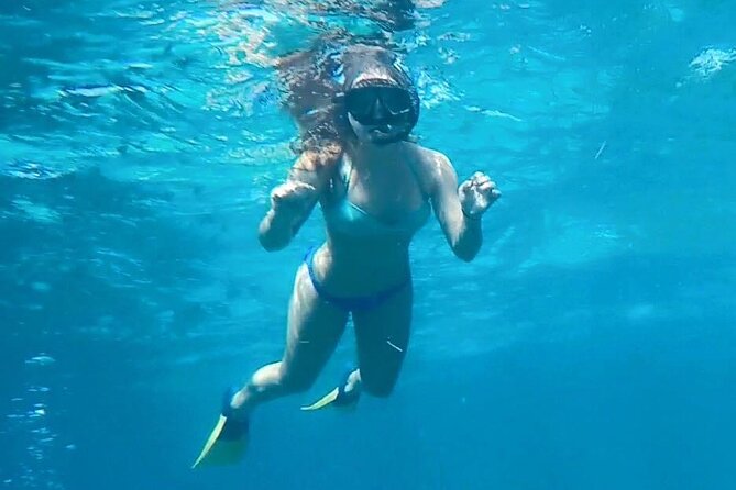 4 Hour Egmont Key Island Tour With Dolphins & Snorkeling Included - About 90 Minutes on the Island