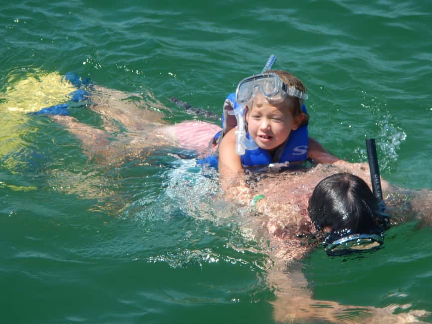 4 Hour Egmont Key Island Tour With Dolphins & Snorkeling - Cruising through Dolphin Bay