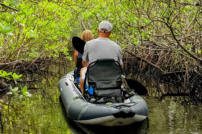 4-Hour Mangrove Island and Dolphin Watch Sandbar in Fort Pierce - The sandbar stop and the electric return