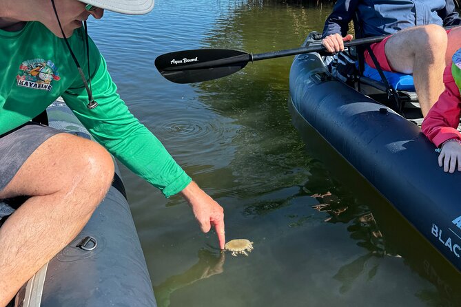 4-Hour Mangrove Island and Dolphin Watch Sandbar in Fort Pierce - What the $79 price includes