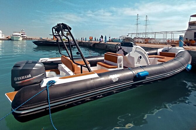 4-Hour Private Speedboat to See Dolphins from Hurghada - Price and what you really pay