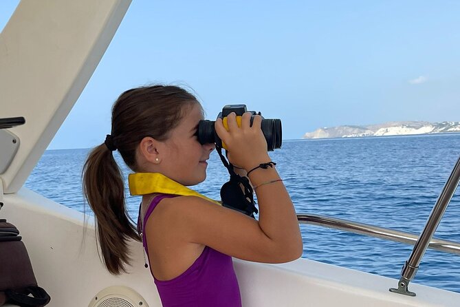 4 Hours Dolphin Watching Tour in Porto Empedocle - Key points at a glance