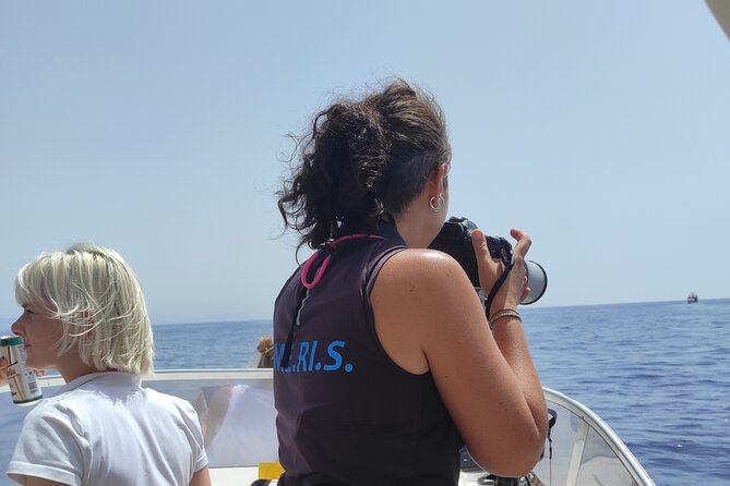4 Hours Dolphin Watching Tour in Porto Empedocle - Meeting the marine researchers on the water