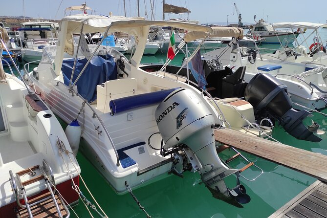 4 Hours Dolphin Watching Tour in Porto Empedocle - Is $165.61 a fair price?