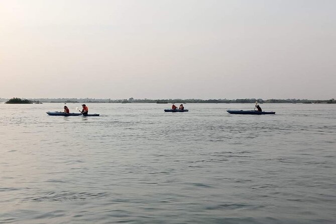 4 hours taking tuk tuk to see Mekong dolphins and countryside - Who should book this experience?