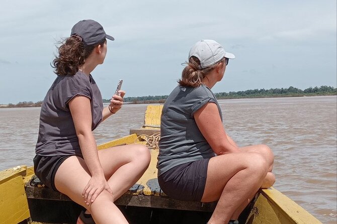 4 hours taking tuk tuk to see Mekong dolphins and countryside - Phnom Sambok Pagoda and the climb for Mekong views