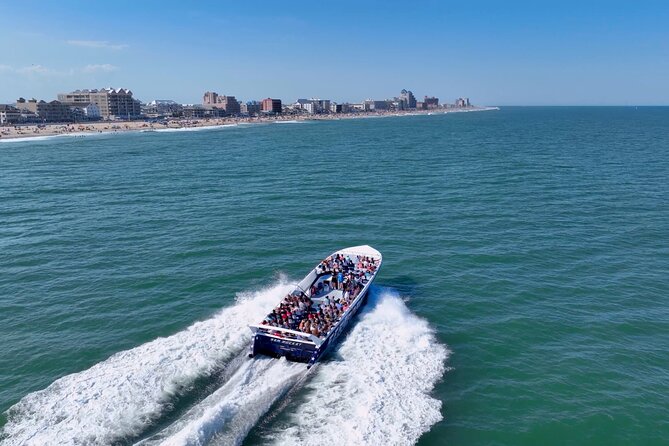 45-Minute Sea Rocket Speed Boat & Dolphin Cruise in Ocean City MD - What the 45-minute Sea Rocket ride is really like