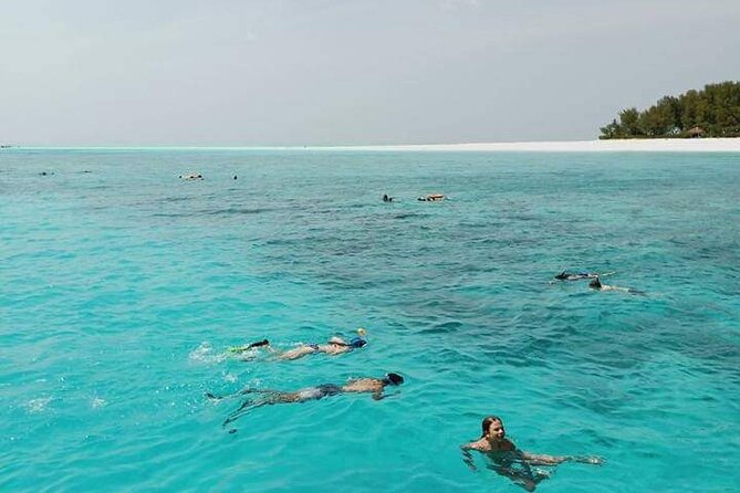 5-Hour Snorkeling, Swimming with Dolphins and Sea Turtles Aquarium - What the Five-Hour Zanzibar Trip Is Really Like