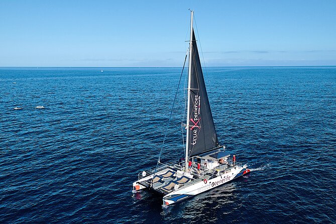 5 hr watching and listening whales and dolps. Visit Los Gigantes - Los Gigantes and the Masca Bay stop