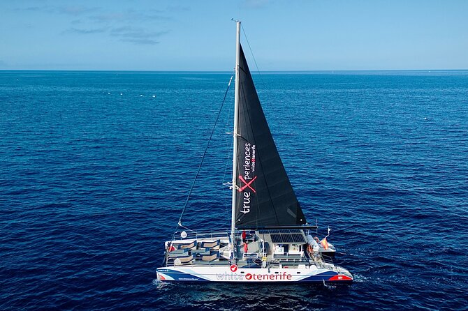 5 hr watching and listening whales and dolps. Visit Los Gigantes - What the crew adds to the experience