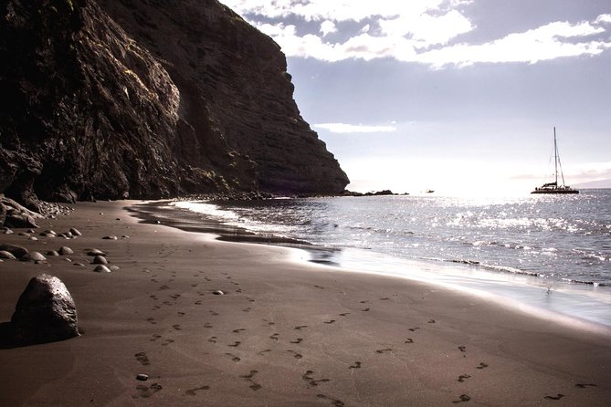 5 hr watching and listening whales and dolps. Visit Los Gigantes - Booking, weather, and cancellation details