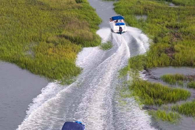 90-Minute Dolphin and Nature Tour of Hilton Head - Boat comfort, movement, and shade