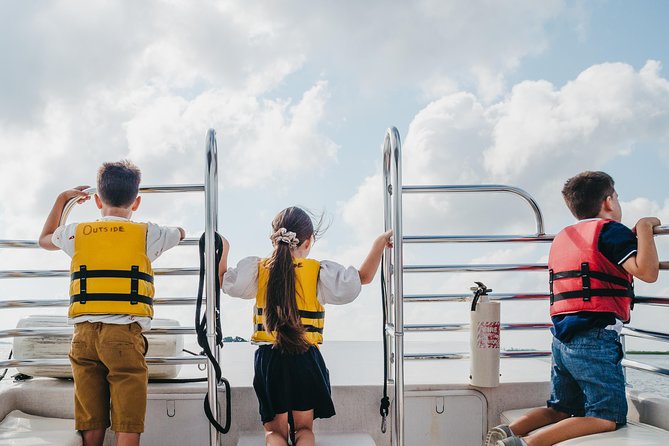 90-Minute Dolphin and Nature Tour of Hilton Head - Dolphins, pelicans, and the salt marsh