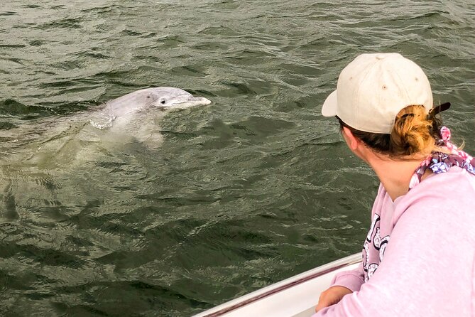 90 Minute Hilton Head Dolphin and Nature Cruise - Who should book this cruise