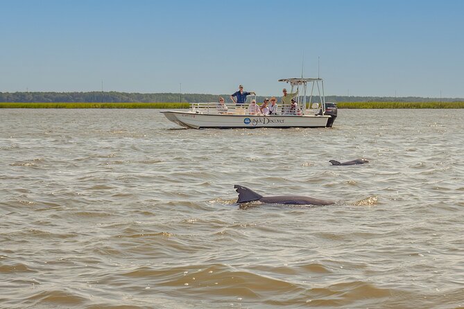 90 Minute Hilton Head Dolphin and Nature Cruise - Dolphin watching without false promises