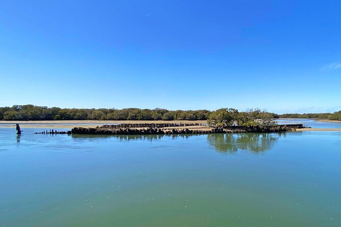 90 Minute Port River Dolphin & Ships Graveyard Cruise - The Ships’ Graveyard: rust, mud and a story in every hull