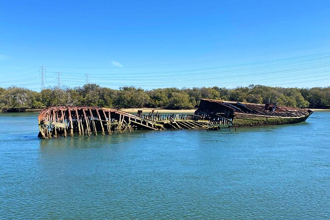 90 Minute Port River Dolphin & Ships Graveyard Cruise - A practical 90-minute plan