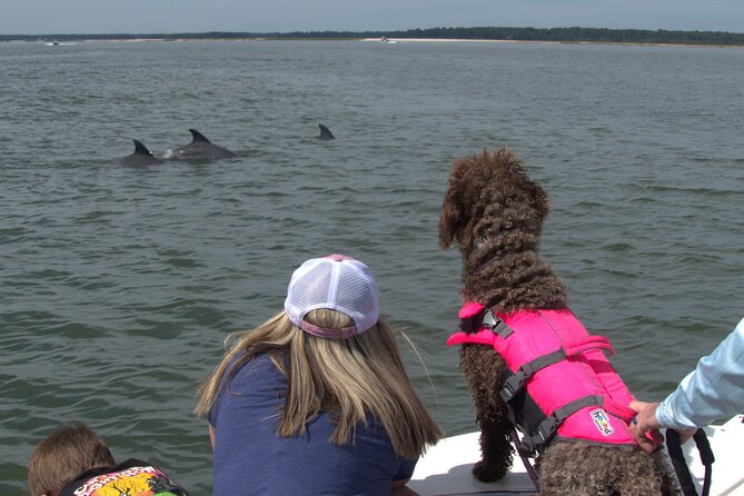 90-Minute Private Dolphin Tour in Hilton Head Island - What happens during the 90 minutes