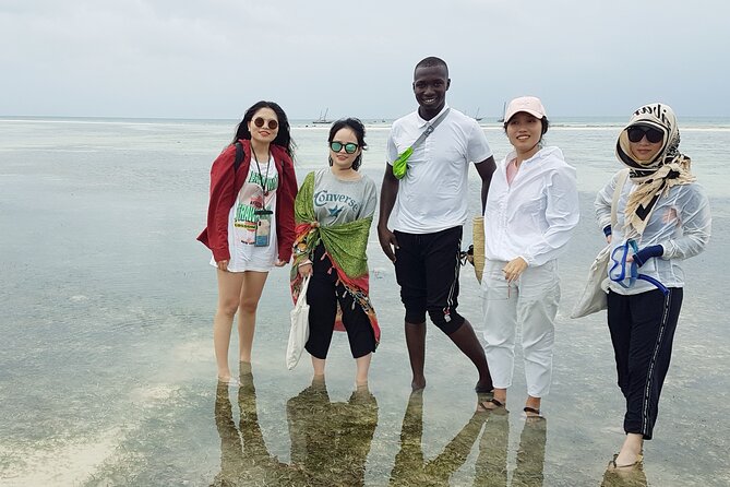 A Half Day Private Dolphins And Snorkeling Tour To Mnemba Island - Setting out from Zanzibar at 8:00 am