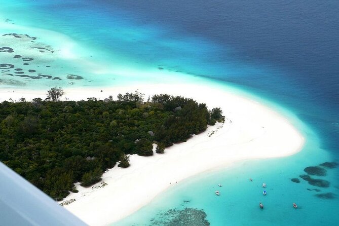 A Half Day Private Dolphins And Snorkeling Tour To Mnemba Island - Guide quality and the importance of clear communication