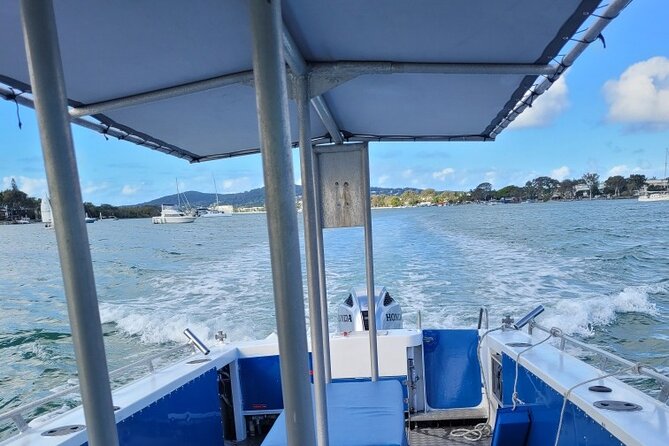 AAA Noosa National Park Tour and Dolphin Safari Whalesongsnoosa - Hearing the ocean through a hydrophone
