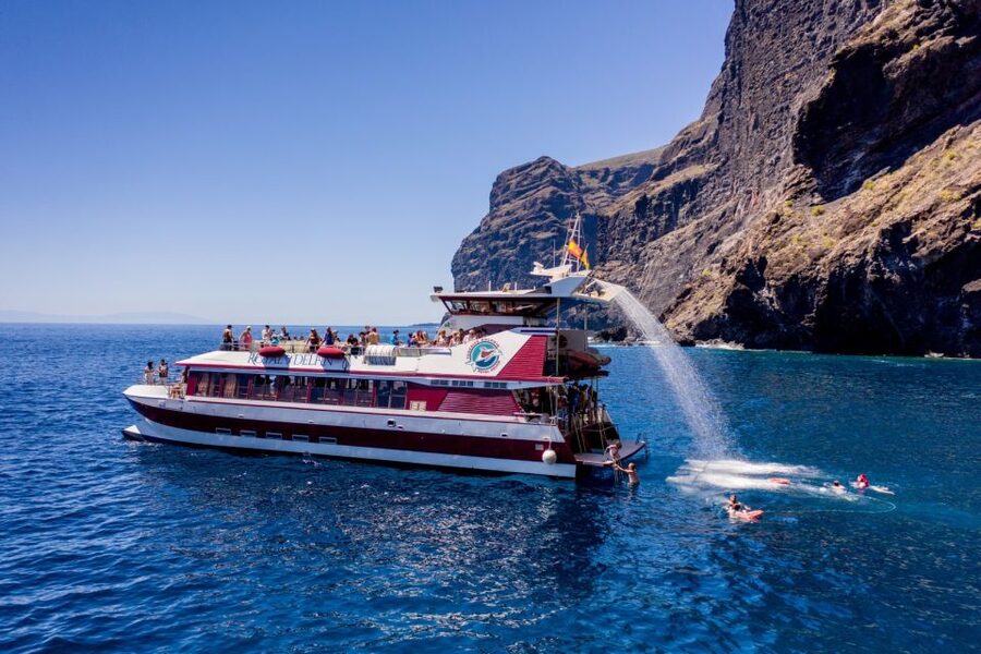 Adeje: Whale and Dolphin Watching Cruise with Lunch and Swim - Practical tips before you book