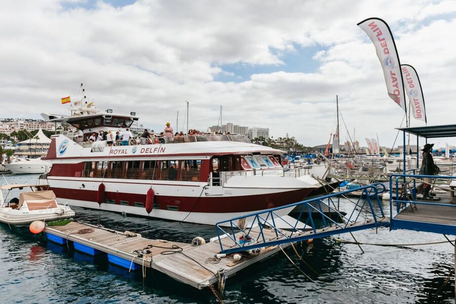 Adeje: Whale and Dolphin Watching Cruise with Lunch and Swim - The three-hour Diego Hernández Bay cruise