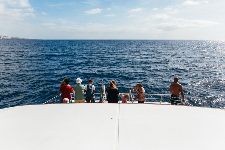 Adeje: Whale and Dolphin Watching Cruise with Lunch and Swim - What lunch and drinks are really like