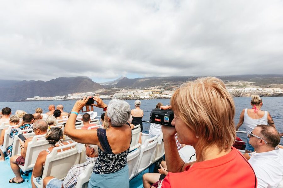 Adeje: Whale and Dolphin Watching Cruise with Lunch and Swim - Is $59 good value?
