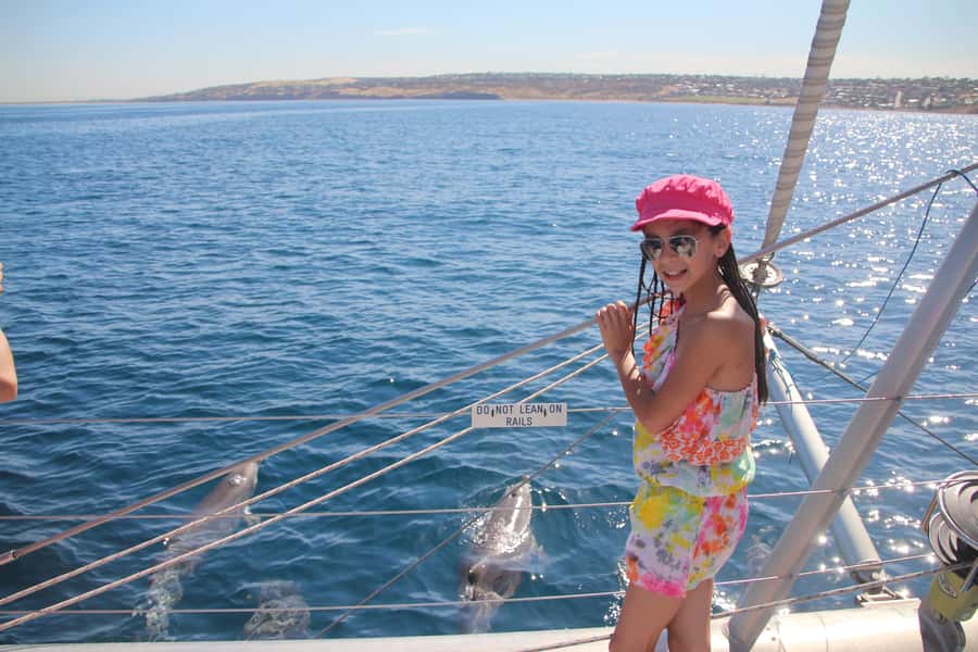 Adelaide: 4-Hour Guaranteed Wild Dolphin Watching Cruise - Watching dolphins ride the bow