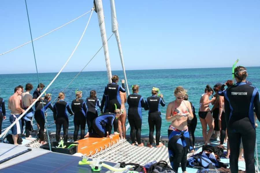 Adelaide: 4-Hour Swimming with Dolphins Experience - Who will enjoy this most