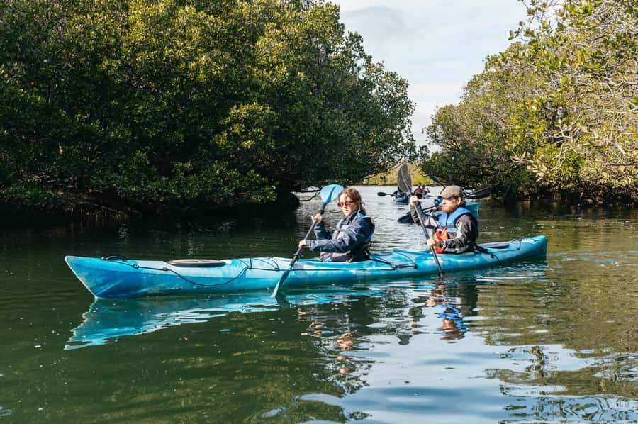 Adelaide: Dolphin Sanctuary Eco Kayaking Tour - Shipwrecks, tides, and a route that can change