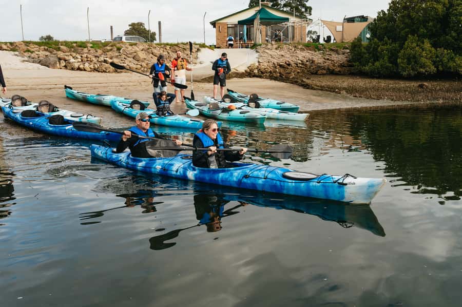 Adelaide: Dolphin Sanctuary Eco Kayaking Tour - What three hours feels like on the water