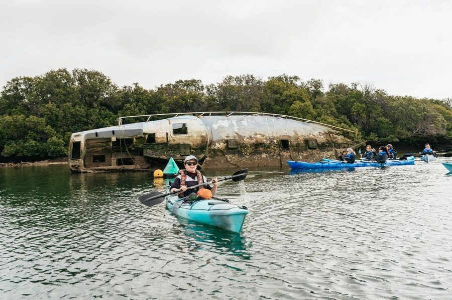 Adelaide: Dolphin Sanctuary Eco Kayaking Tour - Price and practical value at $55