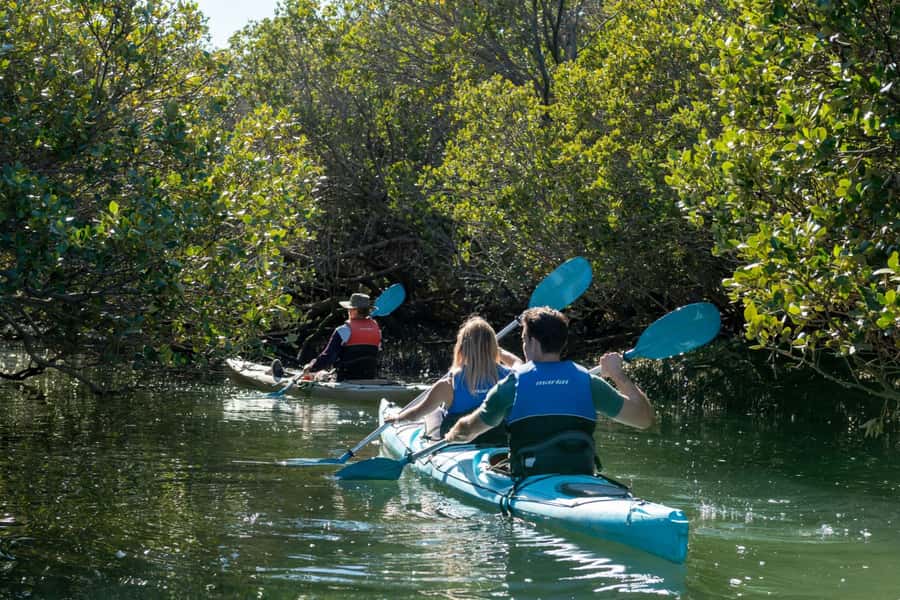 Adelaide: Dolphin Sanctuary Eco Kayaking Tour - Starting at Angas Inlet Boat Club