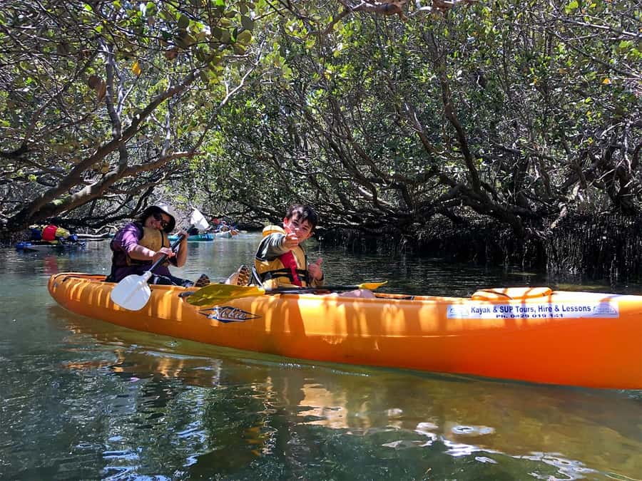Adelaide: Dolphin Sanctuary Single or Double Kayak Rental - Setting out from Garden Island Boat Ramp