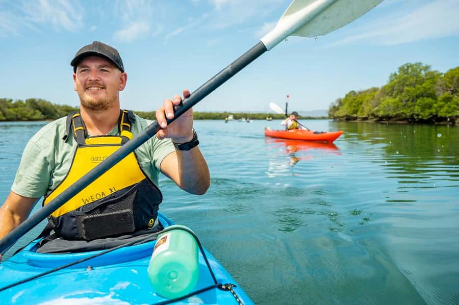 Adelaide: Dolphin Sanctuary Single or Double Kayak Rental - Paddling through the mangrove creeks