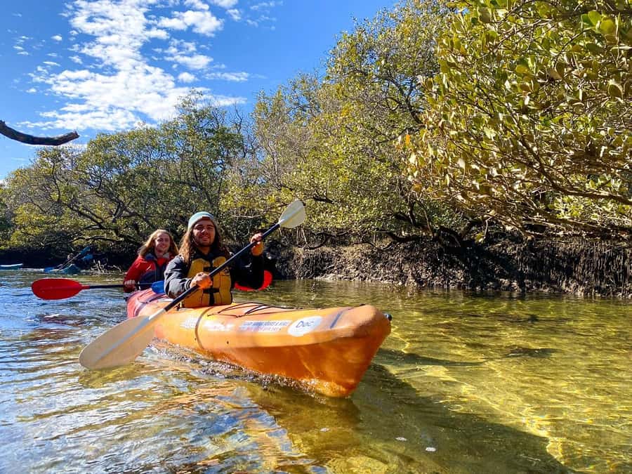 Adelaide: Dolphin Sanctuary Single or Double Kayak Rental - Choosing between a single and double kayak