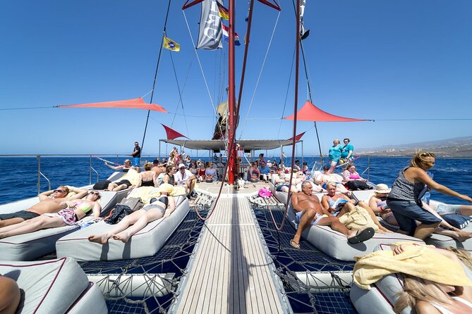 Adults Only Tenerife Freebird Whale Dolphin Catamaran with Lunch - Sailing Tenerife’s whale-filled coastal waters