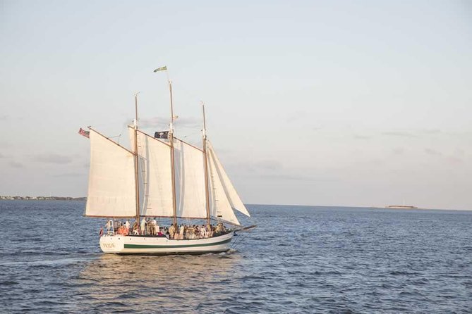 Afternoon Schooner Sightseeing Dolphin Cruise on Charleston Harbor - The Dolphin Question