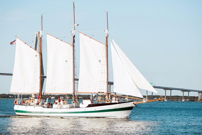 Afternoon Schooner Sightseeing Dolphin Cruise on Charleston Harbor - The Main Limitation: No Narration