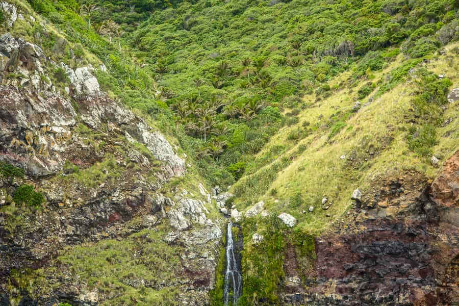Akaroa: Dolphin Nature Cruise - Should you book the Akaroa Dolphins cruise?