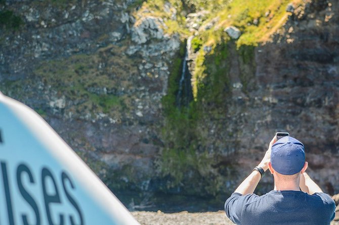 Akaroa Dolphins ~ Harbour Nature Cruise - The crew makes a real difference